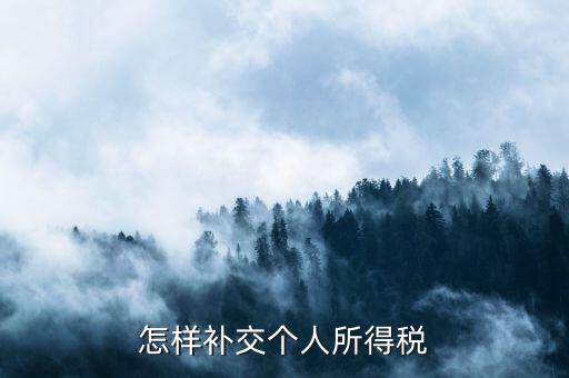 如何補交個人所得稅，如何用個人所得稅扣繳系統(tǒng)補繳稅款