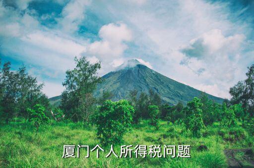 廈門(mén)企業(yè)個(gè)稅如何申報(bào)，廈門(mén)個(gè)人所得稅問(wèn)題