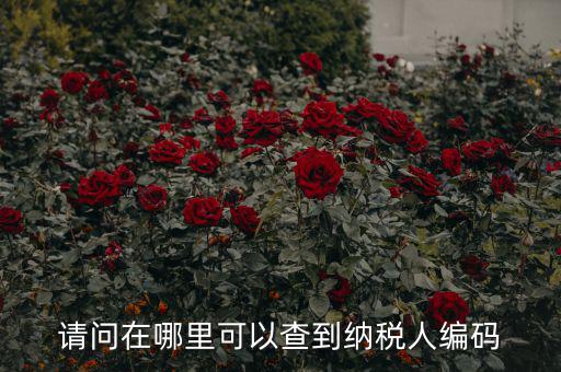 教您如何查詢納稅人代碼，忘記稅務(wù)征收機(jī)關(guān)代碼