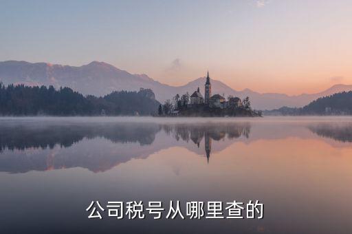 如何查到企業(yè)納稅號(hào)，公司稅號(hào)從哪里查的