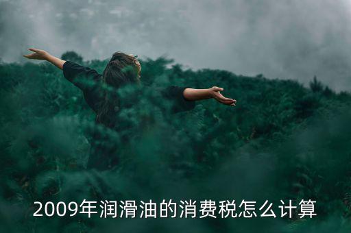 汽油消費稅如何計算公式，2009年潤滑油的消費稅怎么計算