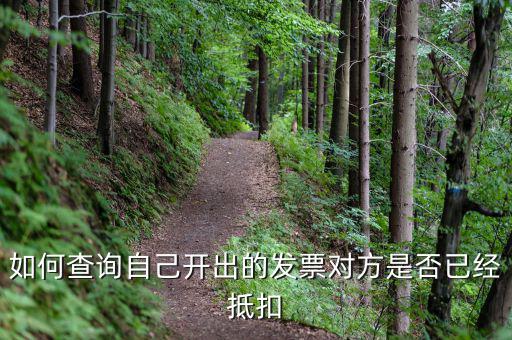 如何查詢已抵扣發(fā)票，怎么查詢開出的發(fā)票有沒有被抵扣