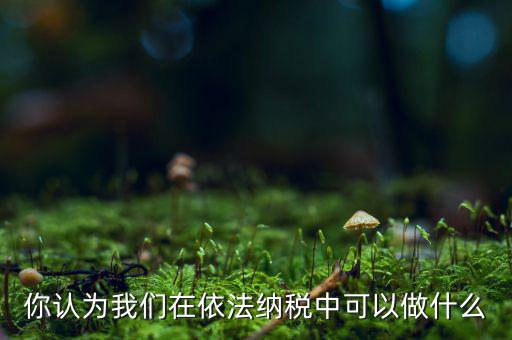 如何做到依法納稅，你認為我們在依法納稅中可以做什么