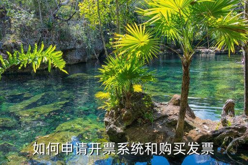 如何申請開票系統(tǒng)，個體工商戶怎么申請辦理開票系統(tǒng)望詳解分數(shù)可追加