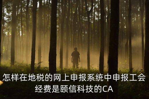 工會(huì)經(jīng)費(fèi)如何網(wǎng)上申報(bào)，怎樣在地稅的網(wǎng)上申報(bào)系統(tǒng)中申報(bào)工會(huì)經(jīng)費(fèi)是頤信科技的CA