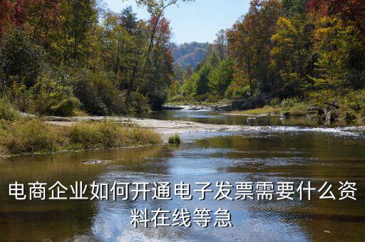 電子發(fā)票如何申領(lǐng)，京東電子發(fā)票如何獲取