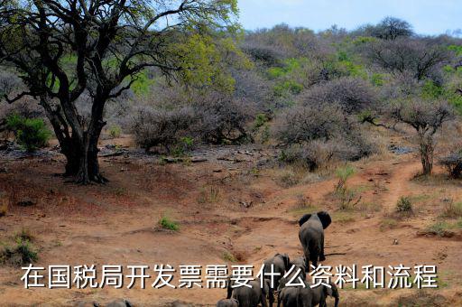 國稅局批票如何辦理，在國稅局開發(fā)票需要什么資料和流程