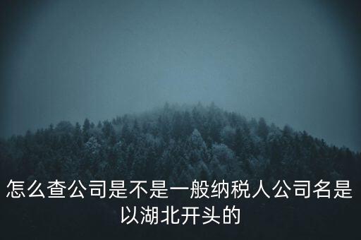 如何查詢企業(yè)是否是一般納稅人，怎么查公司是不是一般納稅人公司名是以湖北開頭的