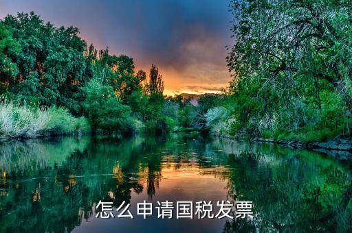 國稅如何申請發(fā)票，如何去國稅局開發(fā)票