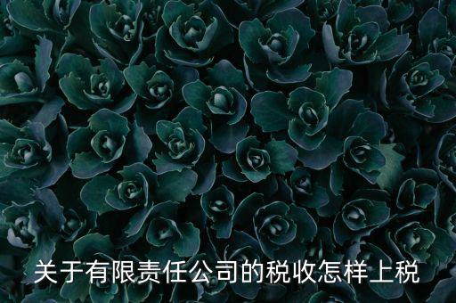 有限責任公司如何繳稅，有限責任公司是如何納稅的要繳納的稅種都有哪些