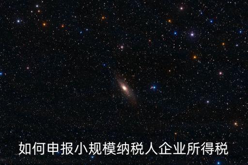 小規(guī)模納稅人如何報(bào)企業(yè)所得稅，如何申報(bào)小規(guī)模納稅人企業(yè)所得稅
