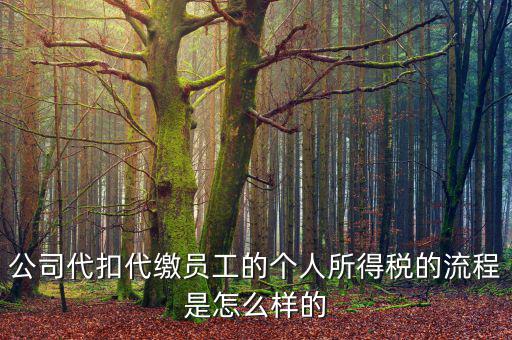 如何代扣代繳個人所得稅，代扣代繳個人所得稅