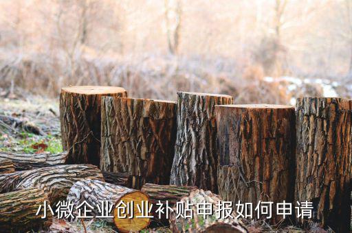 小型微利企業(yè)如何申請社保補(bǔ)貼，小微企業(yè)補(bǔ)貼怎么申請