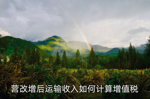 運輸業(yè)增值稅如何計算，道路運輸業(yè)的一般納稅人增值稅如何計算