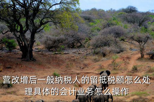 營改增后一般納稅人的留抵稅額怎么處理具體的會計業(yè)務(wù)怎么操作