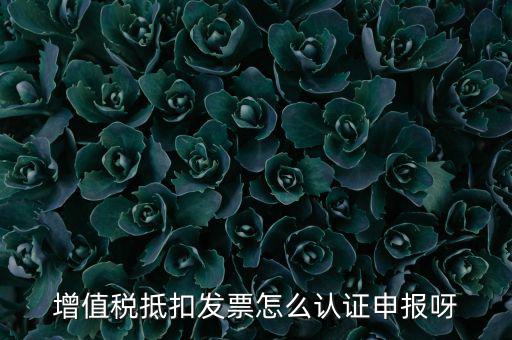 如何認證抵扣發(fā)票，增值稅抵扣發(fā)票怎么認證申報呀