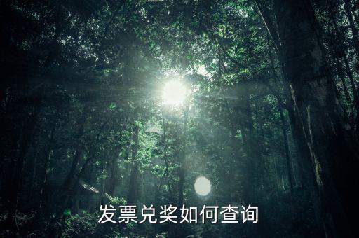 發(fā)票兌獎(jiǎng)如何查詢(xún)