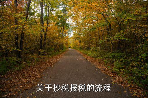 抄稅后如何報(bào)稅，抄報(bào)稅的操作步驟是什么