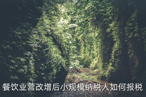營改增后小規(guī)模納稅人如何報(bào)稅，營改增后小規(guī)模的怎么報(bào)稅