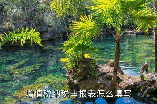 如何填寫增值稅納稅申報表，增值稅申報表如何填寫