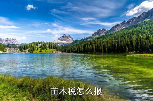 苗木增值稅免稅如何申報(bào)，苗木稅怎么報(bào)