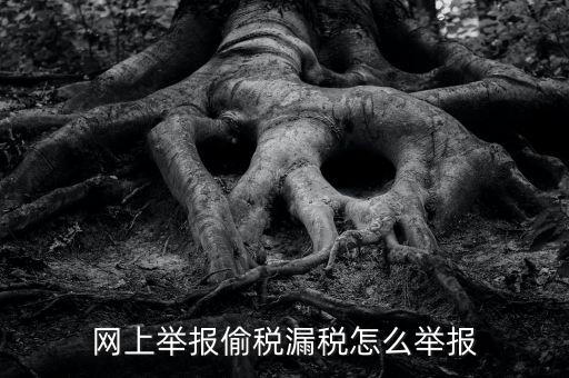 如何網(wǎng)上稅務(wù)舉報，網(wǎng)上舉報偷稅漏稅怎么舉報