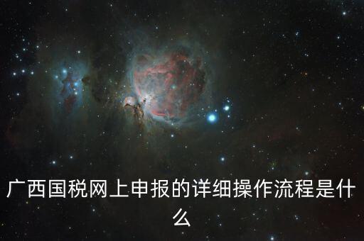 廣西國(guó)稅地稅如何網(wǎng)上申報(bào)系統(tǒng)，國(guó)稅網(wǎng)上怎么申報(bào)