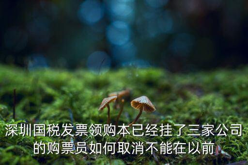 如何取消稅務(wù)局購票人，國稅如何刪除購票人