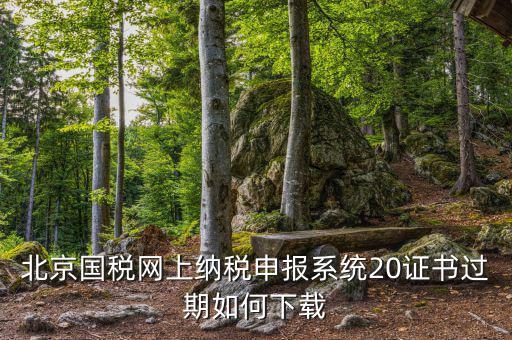 北京國(guó)稅網(wǎng)上納稅申報(bào)系統(tǒng)20證書(shū)過(guò)期如何下載