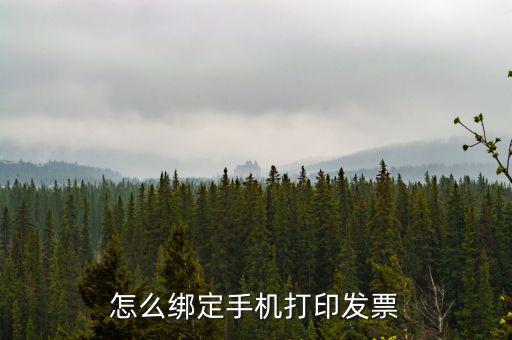 百旺電子發(fā)票如何綁定終端，尚未配備電子發(fā)票終端怎么處理