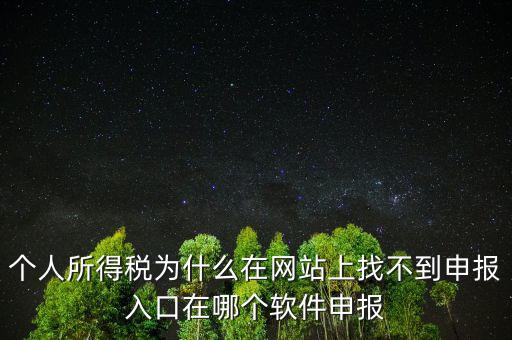 自然人如何申報，請問小規(guī)模個人所得稅在哪里申報怎么申報呢
