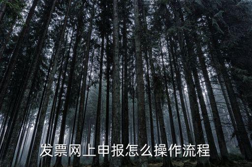 如何國稅局網(wǎng)上申請開票，如何登錄稅務網(wǎng)上開票
