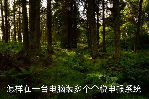 怎樣在一臺電腦裝多個個稅申報系統(tǒng)