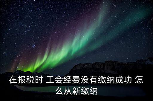 如何補(bǔ)繳工會(huì)經(jīng)費(fèi)，在報(bào)稅時(shí) 工會(huì)經(jīng)費(fèi)沒(méi)有繳納成功 怎么從新繳納