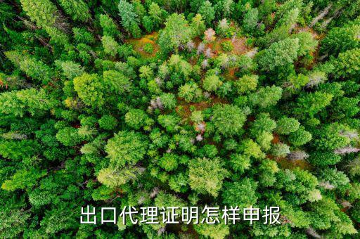 代理出口貨物證明如何報(bào)稅，出口代理證明怎樣申報(bào)