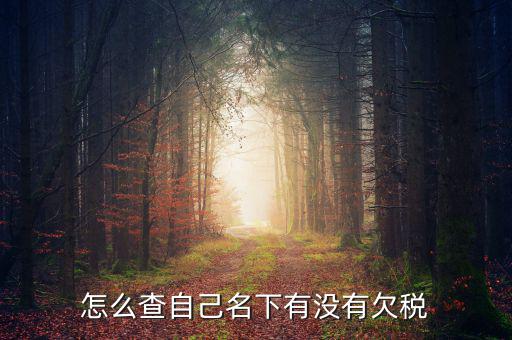 如何查欠稅記錄，怎么查個(gè)人有沒有欠稅