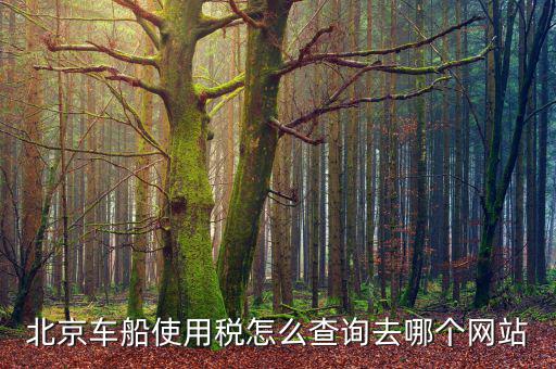 北京車船稅如何查詢系統(tǒng)，北京車船使用稅怎么查詢交沒交
