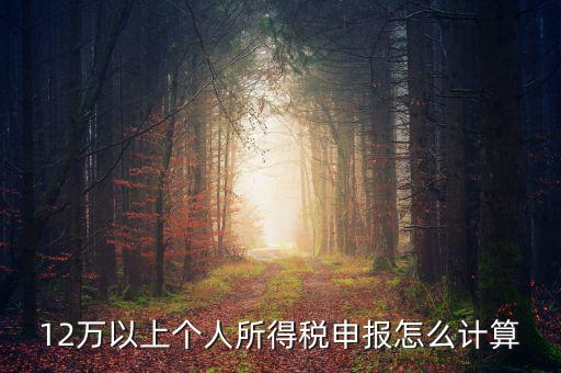 12萬個人申報如何計算，如何計算12萬元個人所得稅申報表