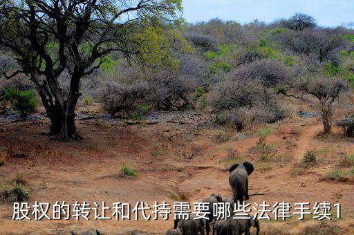 轉讓代持股如何轉讓，代持股可以轉賣嗎
