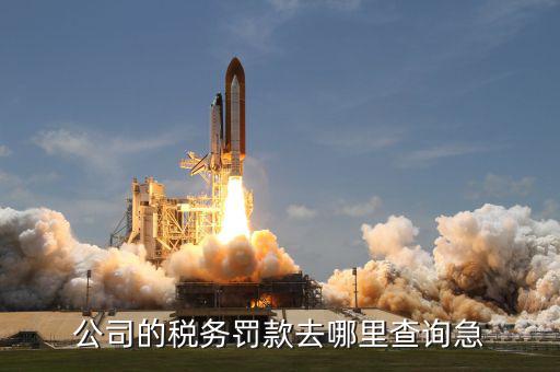 如何查稅收罰款，公司的稅務(wù)罰款去哪里查詢急
