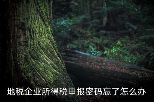 南京地稅密碼如何重置，個人所得稅忘記密碼之后如何進行重置呢