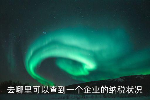企業(yè)在哪納稅如何查，去哪里可以查到一個企業(yè)的納稅狀況