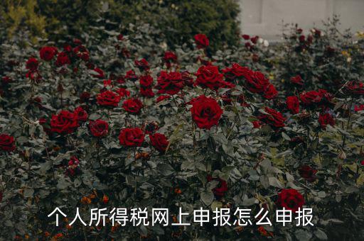 福建個(gè)人納稅如何申報(bào)，個(gè)人所得稅網(wǎng)上申報(bào)怎么申報(bào)