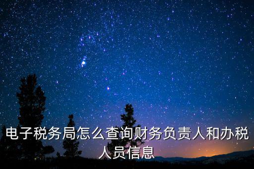 電子稅務(wù)局怎么查詢財務(wù)負(fù)責(zé)人和辦稅人員信息