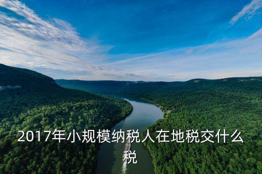 2017年土地稅如何征收，2017年小規(guī)模納稅人在地稅交什么稅