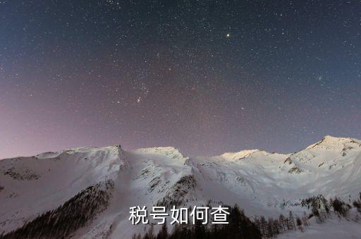 如何查詢公司稅務(wù)編號(hào)查詢，如何通過(guò)企業(yè)注冊(cè)號(hào)查詢企業(yè)稅務(wù)登記證號(hào)