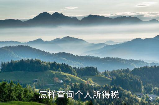 如何查詢個(gè)人交稅，個(gè)人所得稅繳納記錄怎么查詢