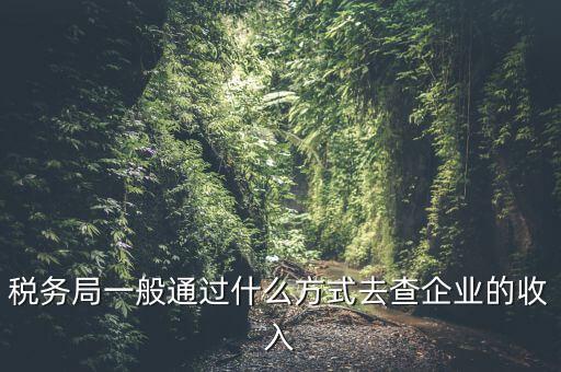 稅務(wù)如何統(tǒng)計(jì)收入，小規(guī)模增值稅季報(bào)在哪里統(tǒng)計(jì)收入