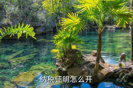 地稅網(wǎng)如何打涉稅證明，完稅證明在電子稅務(wù)局哪里打印