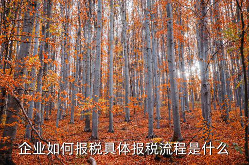 寧夏如何報稅，2021銀川市個體戶報稅怎么操作流程